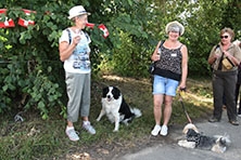 Ajout au panier - Pour commander cette photo, cliquer ICI