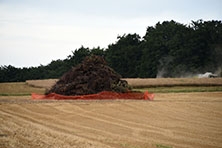 Ajout au panier - Pour commander cette photo, cliquer ICI