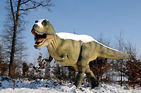 Exposition : Les Dinosaures sont parmi nous. Sugnens, f�vrier 2012 (Cliquer ICI)