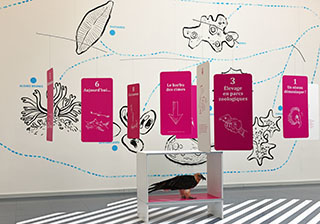 Exposition au Mus�e de Zoologie - Un mausol�e pour huit animaux disparus - Lausanne, avril 2019