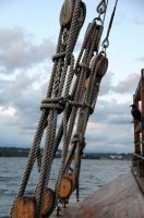 Ajout au panier - Pour commander cette photo, cliquer ICI
