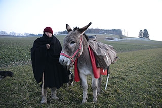 Transhumance, un instant de po�sie - Plateau du Jorat, f�vrier 2018. Reportage de Dany Schaer, journaliste photographe