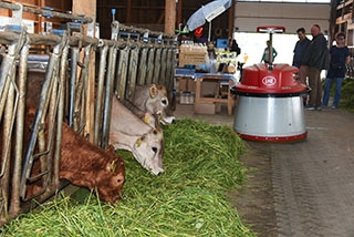 La "Ferme aux 4 Vents" place la qualit� de vie au c�ur de son activit�. Johan et Reynald Viret, Villars-Tiercelin, juin 2019 - Reportage de Dany Schaer, journaliste photographe