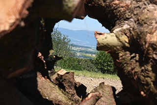 La "Ferme aux 4 Vents" place la qualit� de vie au c�ur de son activit�. Johan et Reynald Viret, Villars-Tiercelin, juin 2019 - Reportage de Dany Schaer, journaliste photographe