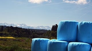 La "Ferme aux 4 Vents" place la qualit� de vie au c�ur de son activit�. Johan et Reynald Viret, Villars-Tiercelin, juin 2019 - Reportage de Dany Schaer, journaliste photographe