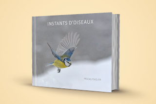Pascal Engler: Instants d�Oiseaux, des images de r�ve - l�Echo du Gros-de-Vaud, 11 mars 2022 - Reportage de Dany Schaer, journaliste photographe